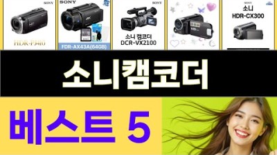 2025년 소니캠코더 인기 상품 TOP 5